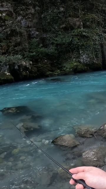 Дикая форель на силикон Boroda Baits “Salo”. Зимний спиннинг на горной реке. смотреть онлайн