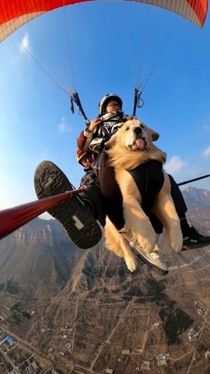 Куда вы меня тащите?