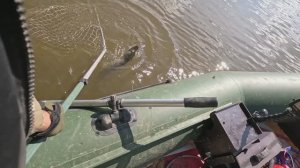 🔺️🎣НЕ ОКУНЬ🎣🔺️fishing#туризм#природа#ловля#рыбалка#щука#ловлящуки#ночевка#Чулым#река#спиннинг