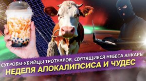 Логика мира рухнула: Снежный ад, космический свет, музейный позор и смертельный чай