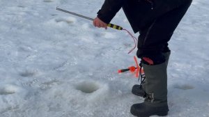 Спортзона.Резина