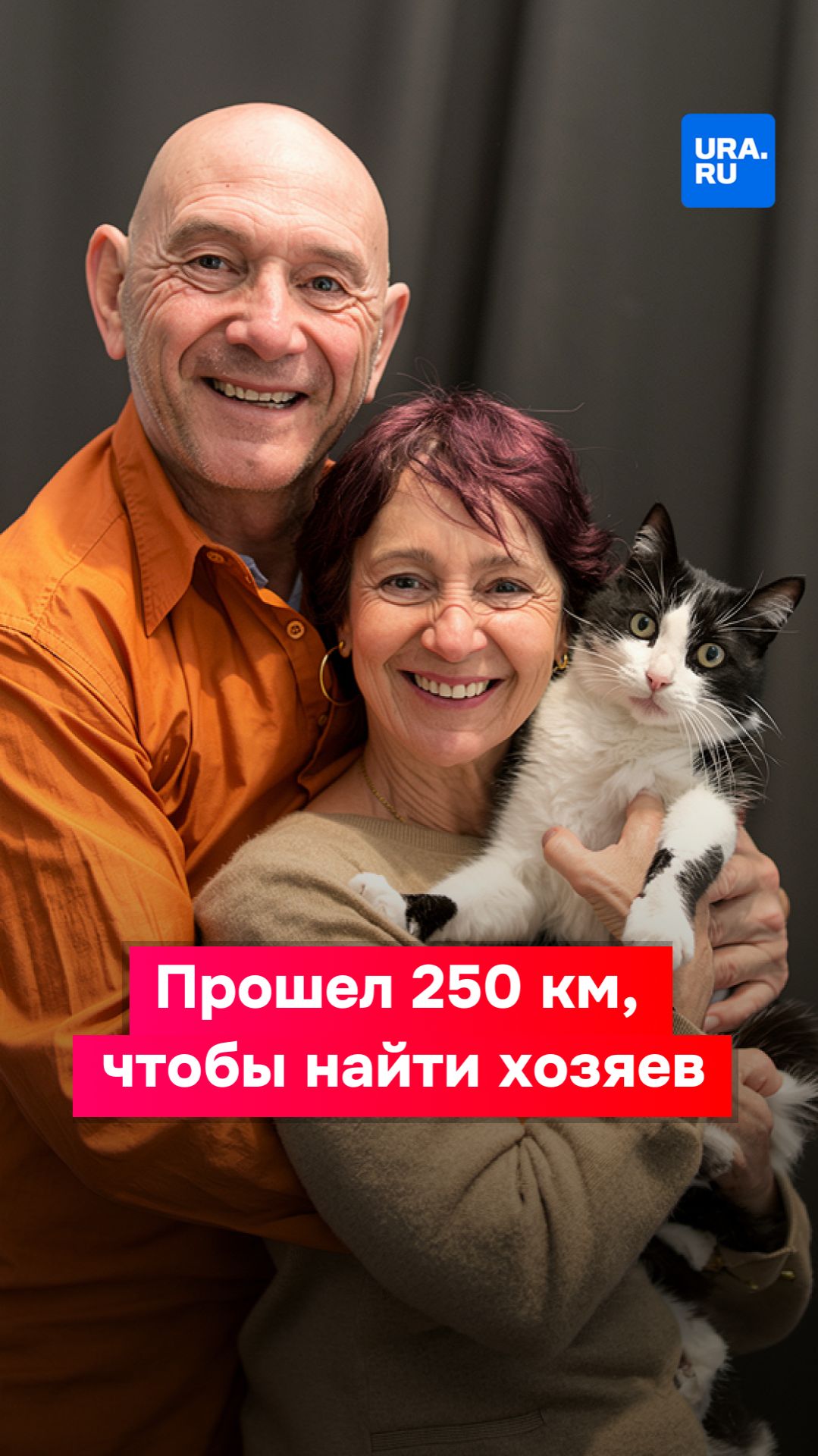 Кот прошел 250 километров, чтобы вернуться к своим хозяевам смотреть онлайн