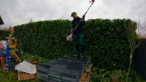 НЕБОЛЬШОЙ БЕСПОРЯДОК во ДВОРЕ