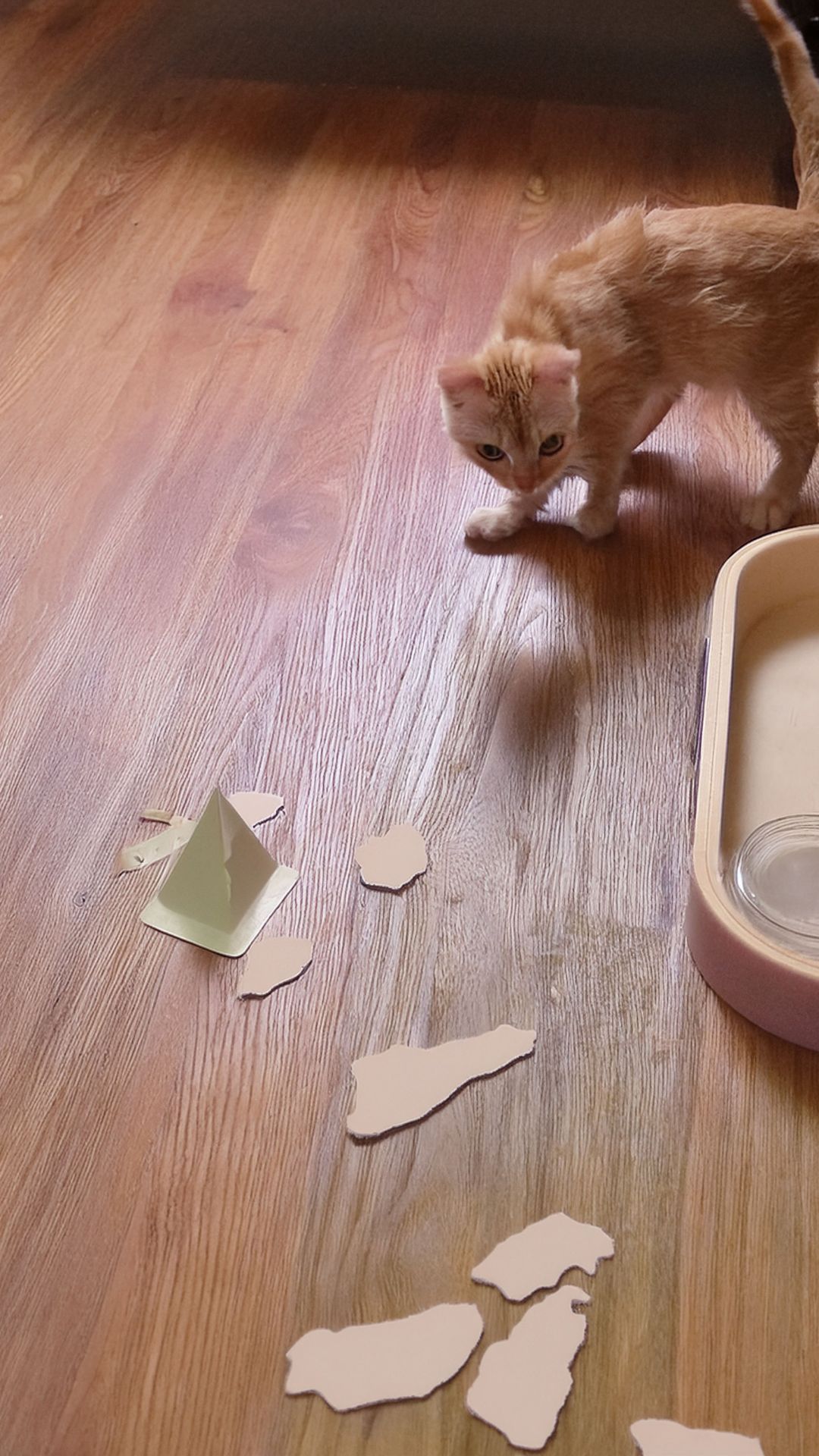 🐱 Котёнок Ёжик и его бумажный трофей: игра в поисках приключений 🐱 смотреть онлайн