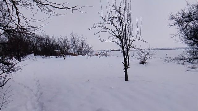 1000004673.mp4 смотреть онлайн