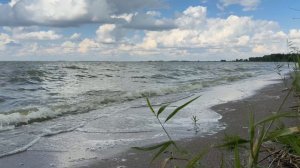 🎼. Александр Скрябин - Этюд ре -диез минор , соч. 8, № 12