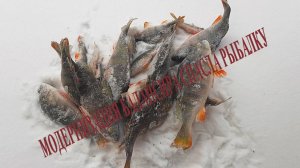 СНАСТЬ, НА КОТОРУЮ МОЖНО ОБМАНУТЬ НЕ АКТИВНОГО ОКУНЯ…