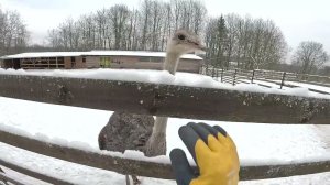 Лебёдка для нивы есть ! Теперь нужно установить ! ХУТОР В ЛЕСУ №941