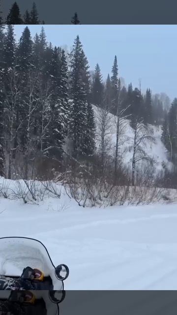 Обед на рыбалке. Самый мощный ресторан. Еда восхитительна! Вкуснятина, Ням-ням ням!!. смотреть онлайн