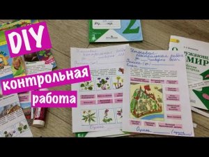 DIY Как сделать итоговую КОНТРОЛЬНУЮ РАБОТУ для Школы Басиков / Приветики подписчикам