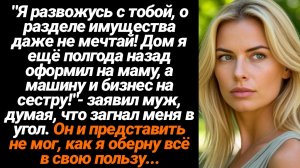 Жизненные Истории/"Я развожусь с тобой, о разделе имущества даже не мечтай! Дом я ещё полгода назад