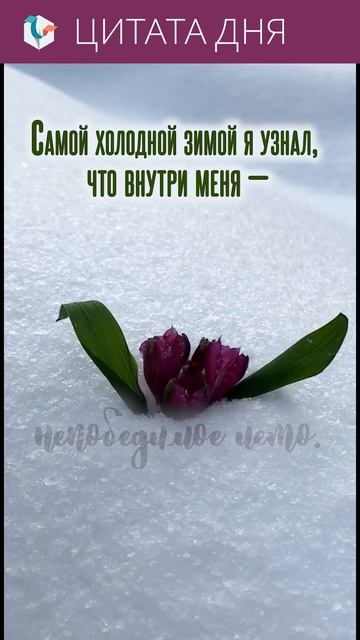 #цитата_выходного_дня