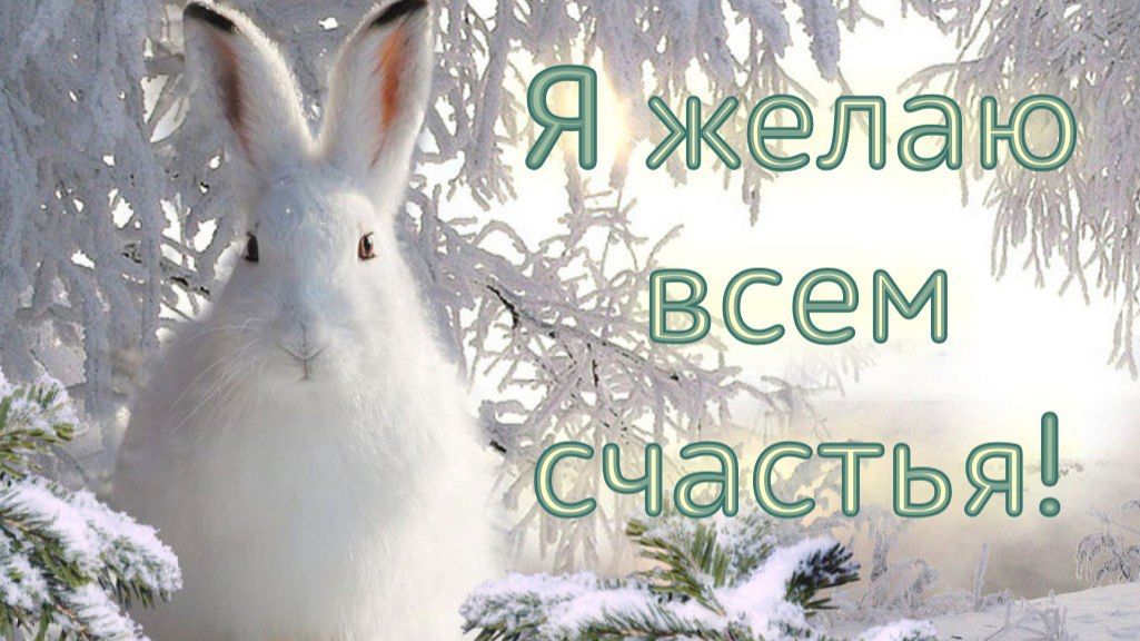 Молитва за мир во всем мире! Live 24.01.2026 смотреть онлайн