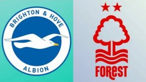 Брайтон-Ноттингем Форест