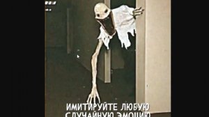 РАСПРЕДЕЛИТЕЛЬНЫЙ ТЕСТ. Записи об аномалиях от К.О.Н.Т.У.Р. ЗАПИСЬ 106