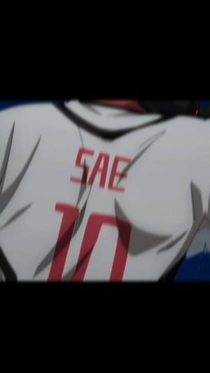 sae edit
