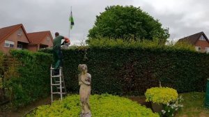 СУПЕР стрижка живой изгороди из бука на НЕБОЛЬШОМ УЧАСТКЕ