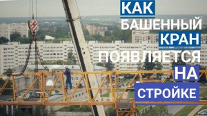 Как башенный кран появляется на стройке. How a tower crane appears at a construction site.