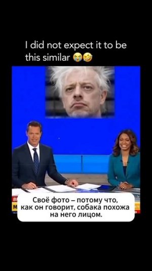 Пропала собачка