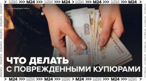 "Деньги 24": эксперты рассказали, что делать с поврежденными деньгами - Москва 24