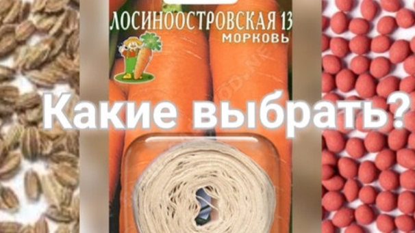 Семена моркови. Какие купить для ранней посадки, а какие - для хранения смотреть онлайн