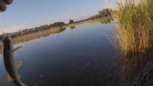 Рыбалка на поплавок