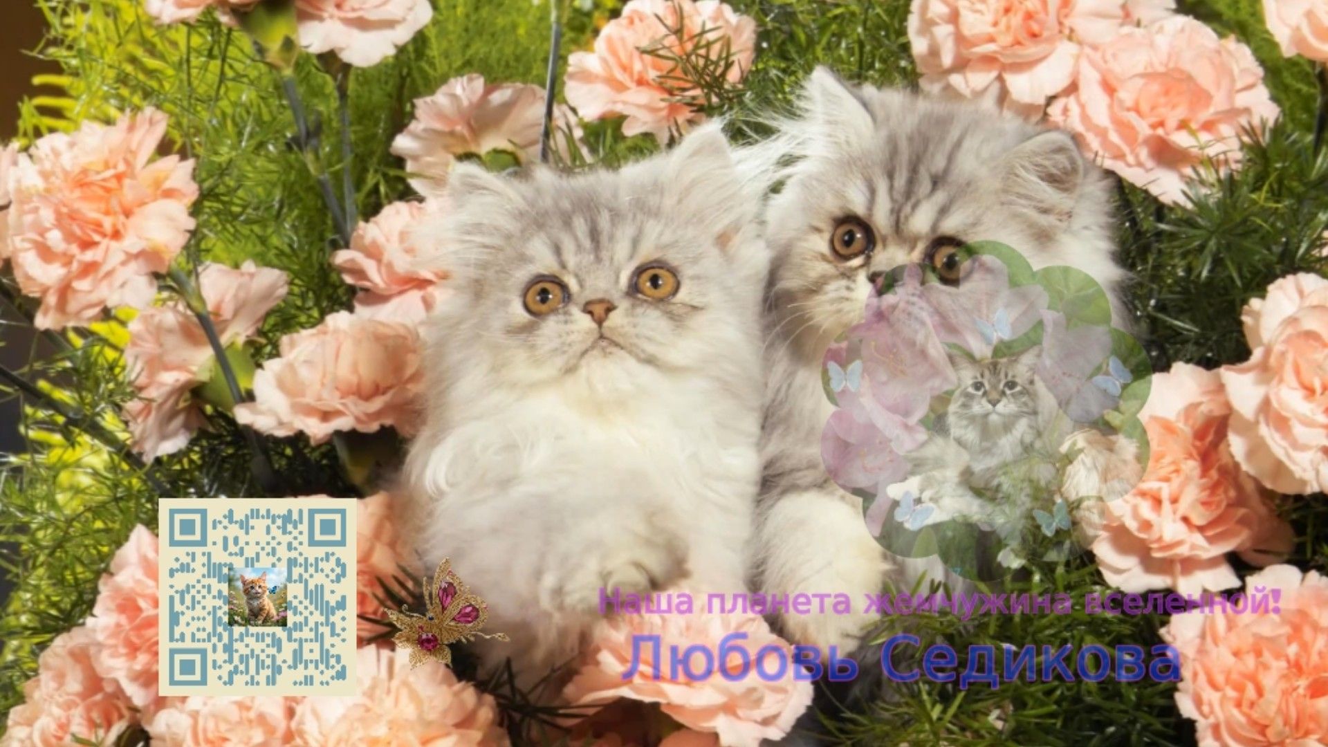 Поздравление с 9 мая. от Котят! # 8 смотреть онлайн