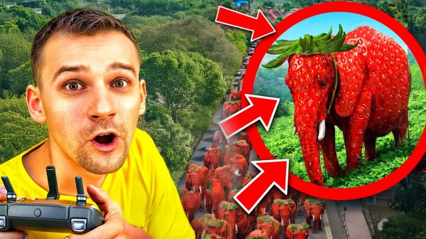Мой дрон снял Strawberry Elephant в реальной жизни… Это было безумие 🍓🐘
