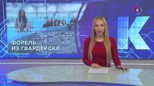 Новости Калининграда — итоги дня, 22 января 2026 каскад тв