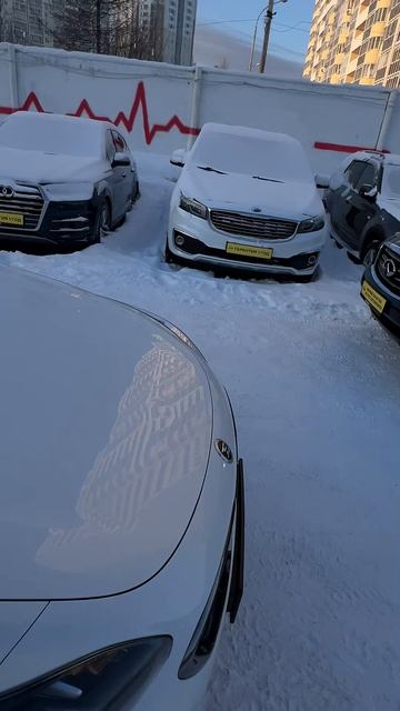 Kia Stinger Лифтбэк GT Prestige 2.0 AT 2018г смотреть онлайн