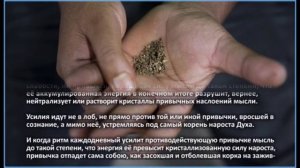 Борьба с привычками