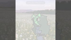 Время особо делать видео нету, поэтому не часто выходят видео