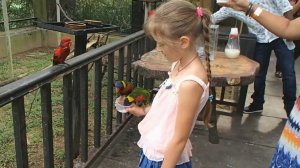 Путешествие. Малайзия. Куала Лумпур попугайчики