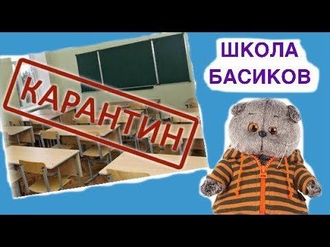 В ШКОЛЕ БАСИКОВ карантин! Кошечке ЛиЛи Жасмин стало плохо на уроке.