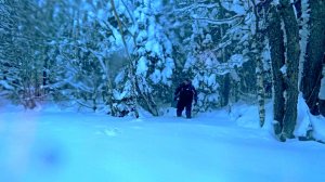 Оставил жерлицы на ночь. Рыбалка пошла не по плану. Один на озере такого не ожидал