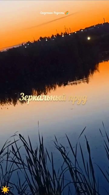 #красивый #рассвет #зеркальныйпруд #солнечный #саратов #утка #небо #событиедня #8мая2025год смотреть онлайн