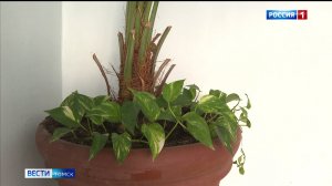 Вести-Томск, выпуск от 23.01.2026 11:30