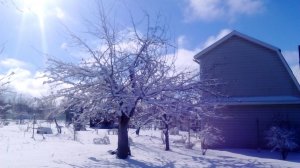 Дача Робинзона - лестница на чердак