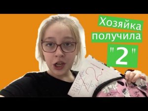 БАСИКИ делают домашнее задание за Хозяйку / Семейка Басиков и Мисс Фаина