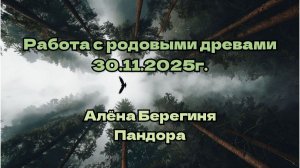 Работа с родовыми древами 30.11.2025г.Алёна Берегиня, Пандора.