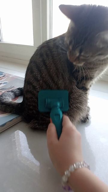 с днём рождения, Мэри!