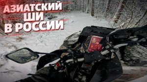 Квадроцикл который я назвал ШИ, показал мне настоящий снежный лес!