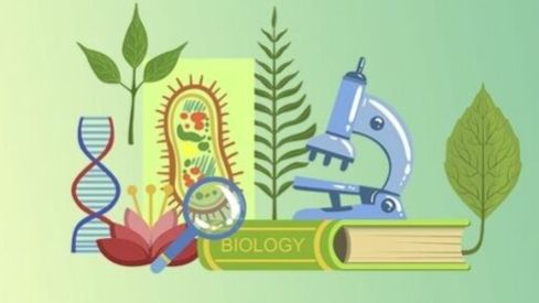 Биология 9 класс. Врожденные и приобретенные программы поведения. смотреть онлайн