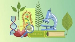 Биология 9 класс. Врожденные и приобретенные программы поведения.