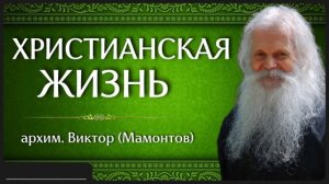 ХРИСТИАНСКАЯ ЖИЗНЬ _ архим. Виктор (Мамонтов)