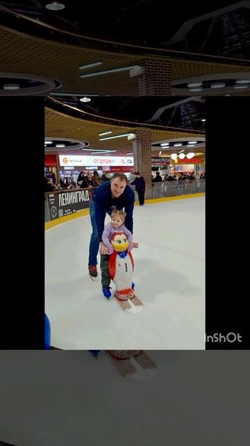 document_5445203784621923571