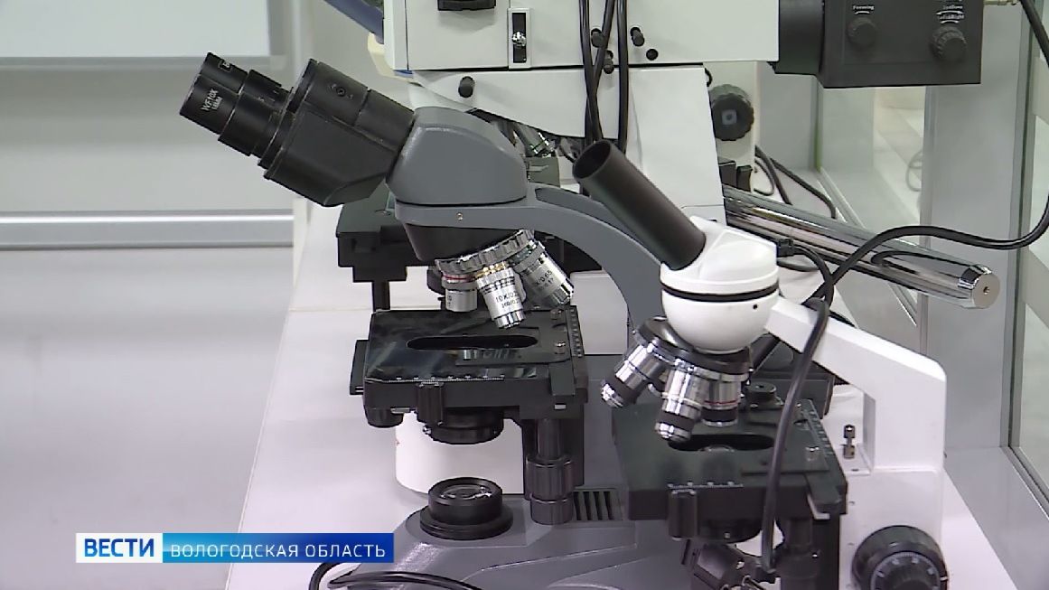 Преподаватели Вологодской ГМХА выиграли сразу несколько престижных конкурсов смотреть онлайн