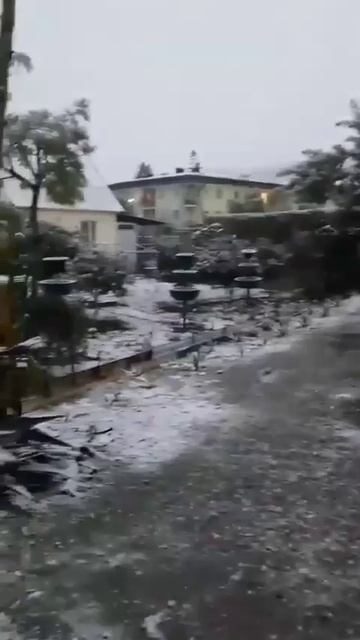 Жил, жил сто лет... А теперь погибнет? смотреть онлайн