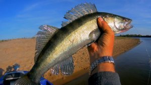 ВОДА ПРИХОДИТ, СУДАК ВСЁ АКТИВНЕЙ