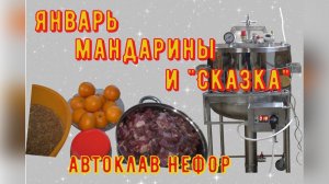 Январь, мандарины и "Сказка". Избранники НЕФОР.